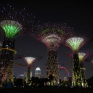 Singapore lights